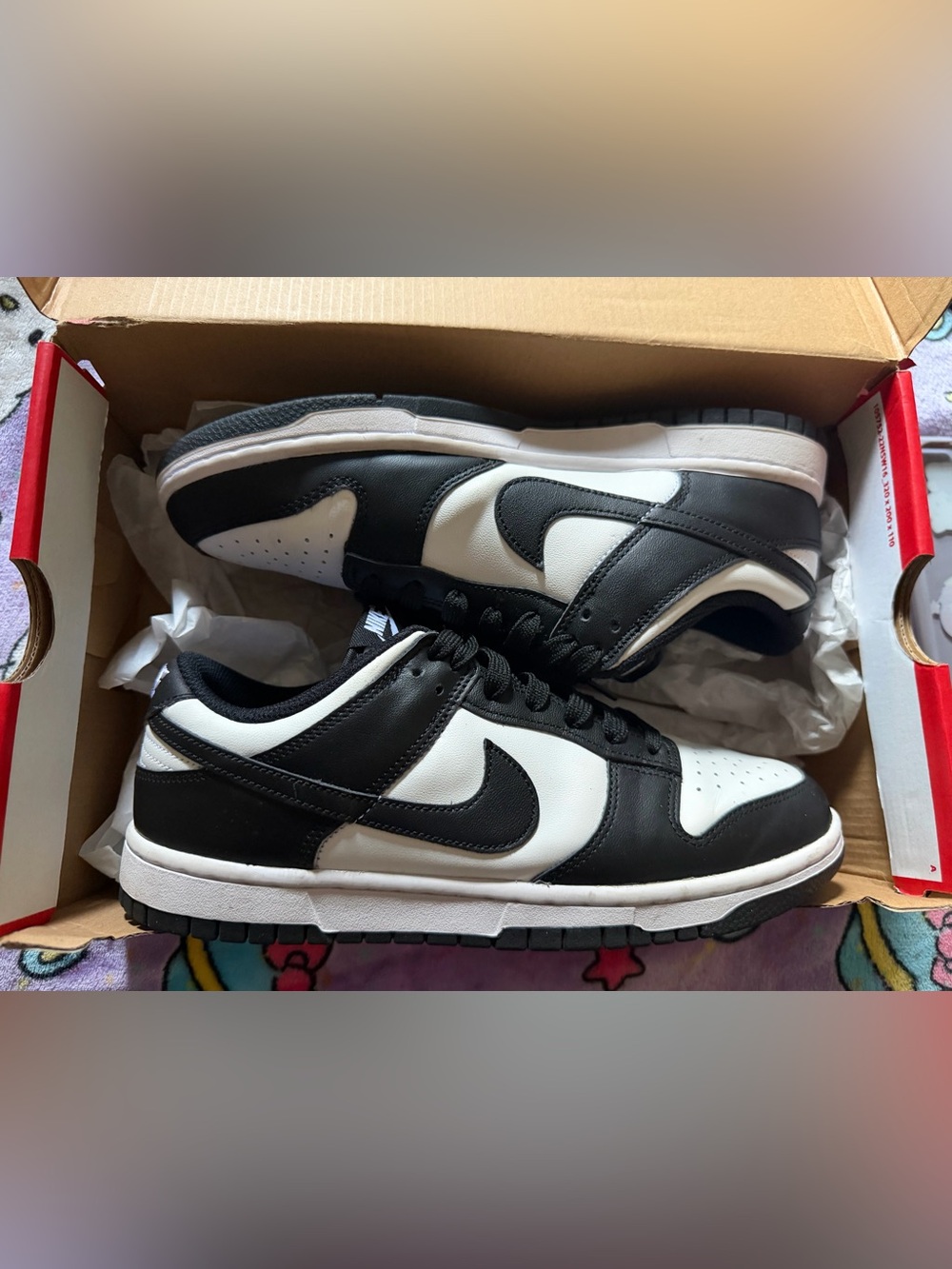 Nike Dunk Low Pandas